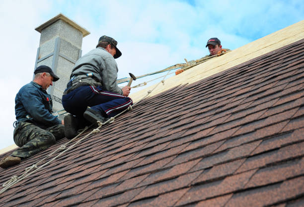 Best Shingle Roofing Installation  in Fox Crossing, WI